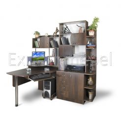 Компьютерный стол Эксклюзив - 8
